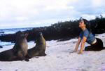 Click to visit Gail Howard's Galapagos Islands travel adventures web site. Gail and her sister, Terry, freely roam the unspoiled Galapagos Islands where birds and sea lions have no fear of man.